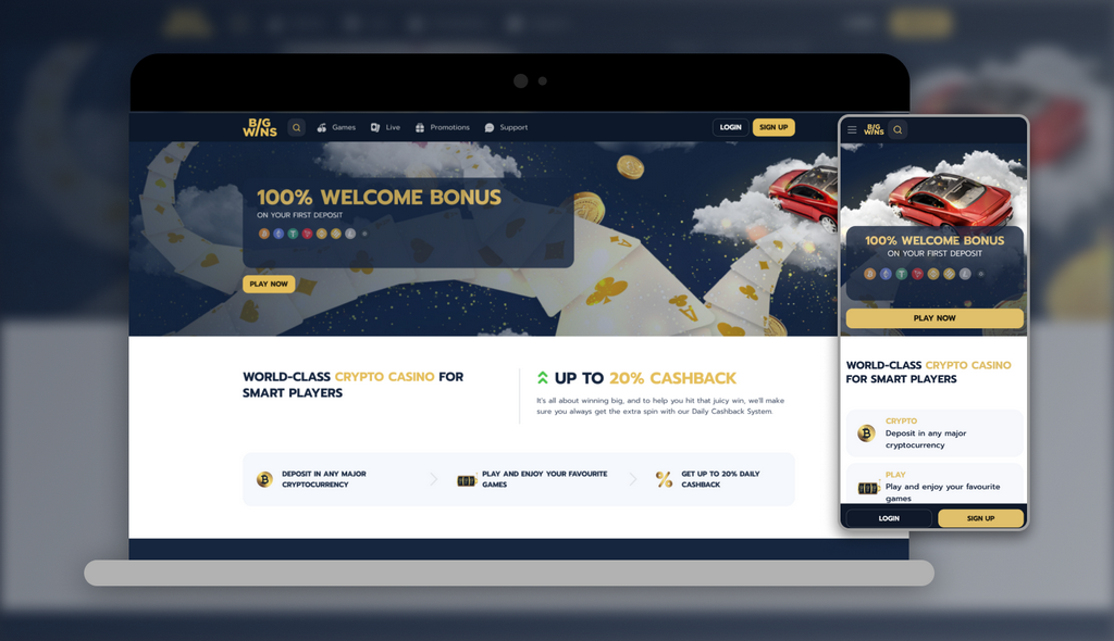 Big Wins Casino Evaluation: Software Program